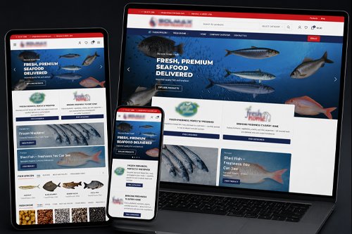 E-commerce website development project in the UAE